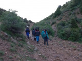 Түркістан тауларында адасқан 4 адам құтқарылды