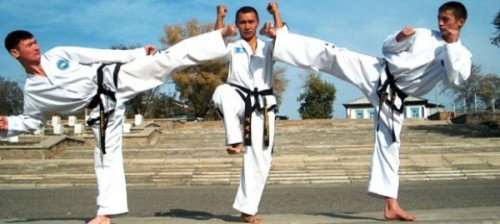 19.03 Taekwondo Kazakstan