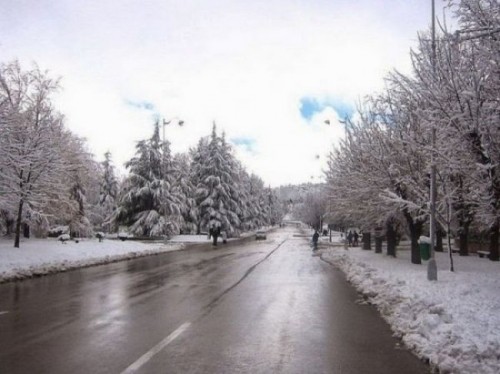 26-03-2015 ifran 009