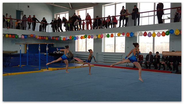 14-03-2016 gymnastic hall 1