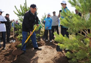 Президенттер еккен көшеттер