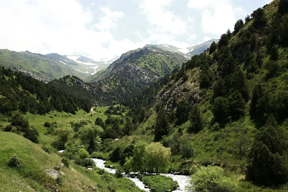 Туризм Оңтүстікке ту тігеді