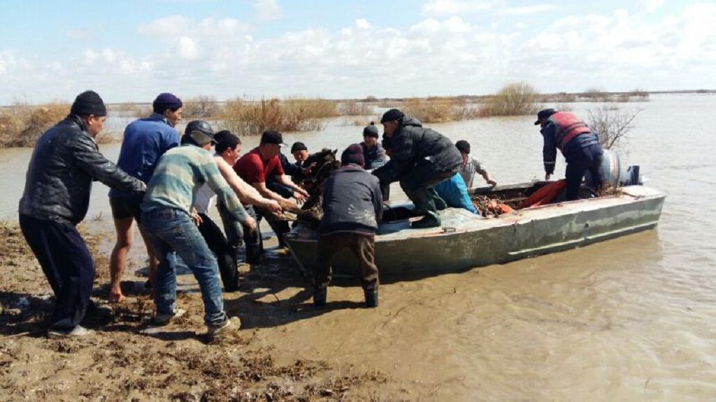 Бір күнде 23 адам құтқарылды