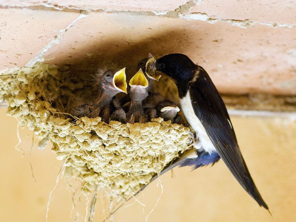 Молдавиялық порно әйелдерге арналған