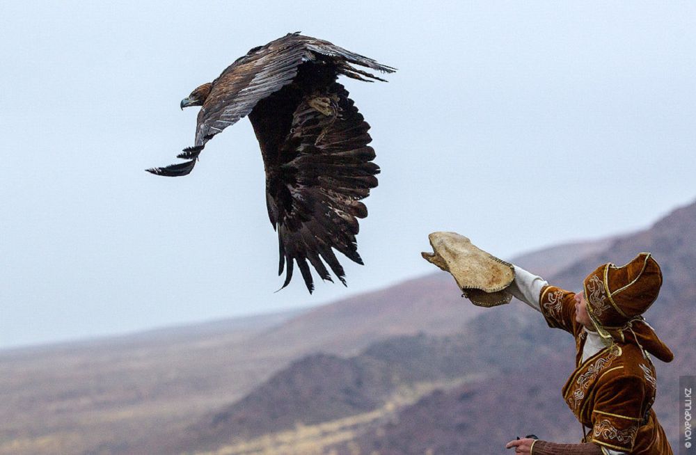 Аңшылық туризм – табыс көзі