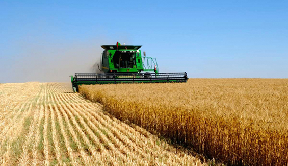 Кооператив құруға кімдер құқылы?