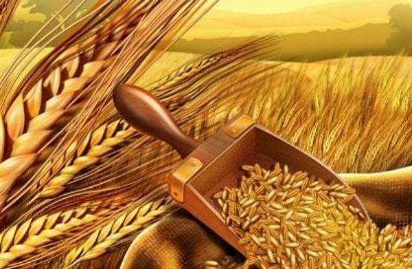 Отандық өнімдер ірі көлемде шетелге экспортталады