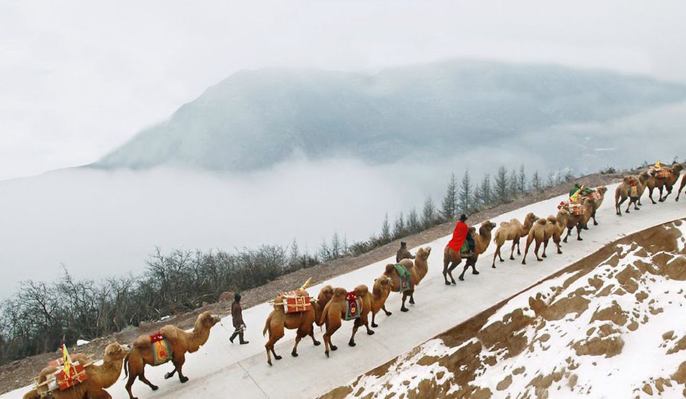 Ұлы Жібек жолын көрем десеңіз