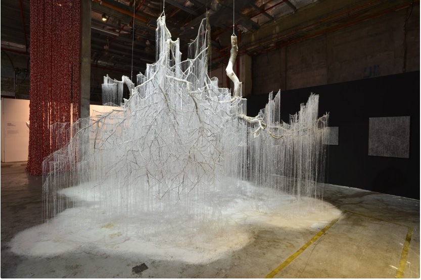 Ясуаки Ониши: Ақ пен қара