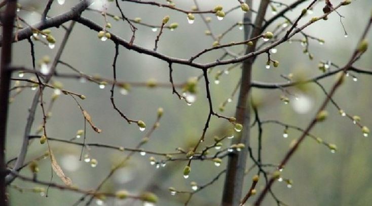 Бүгін еліміздің басым бөлігінде жауын жауады