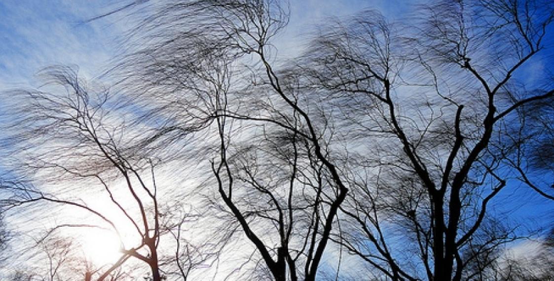 Бүгін Қазақстанның басым бөлігінде жел күшейеді