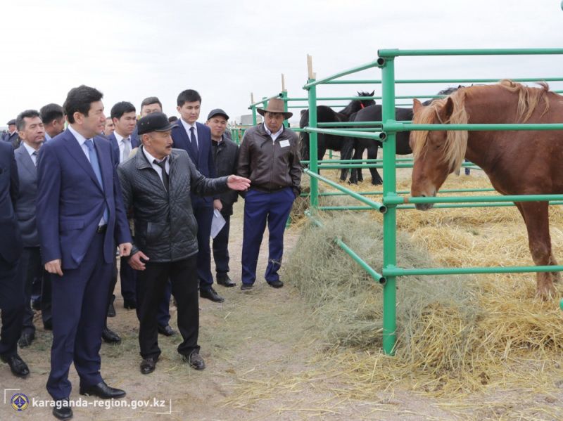 Ауыл шаруашылығы – мемлекеттің драйвері