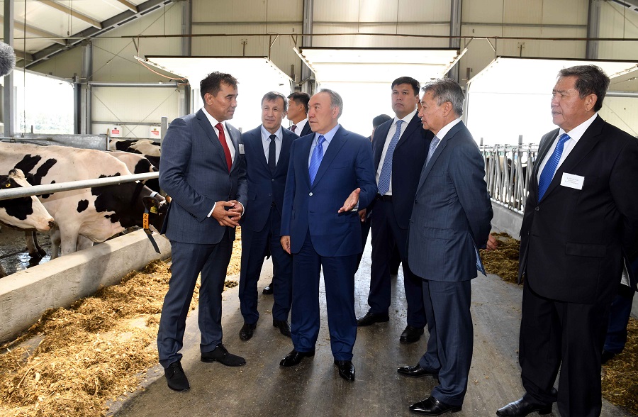 Елбасы «Майлы дақылдардың тәжірибелік шаруашылығы» жауапкершілігі шектеулі серіктестігінде болды