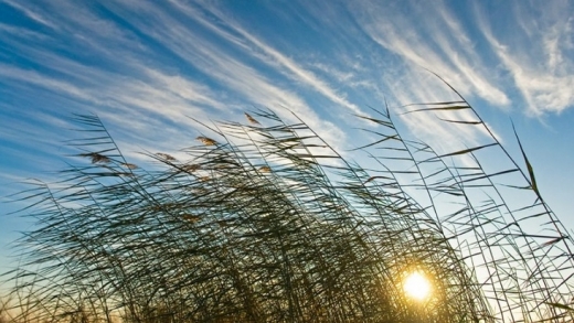Еліміздің екі өңірінде дабылды ескерту жарияланды