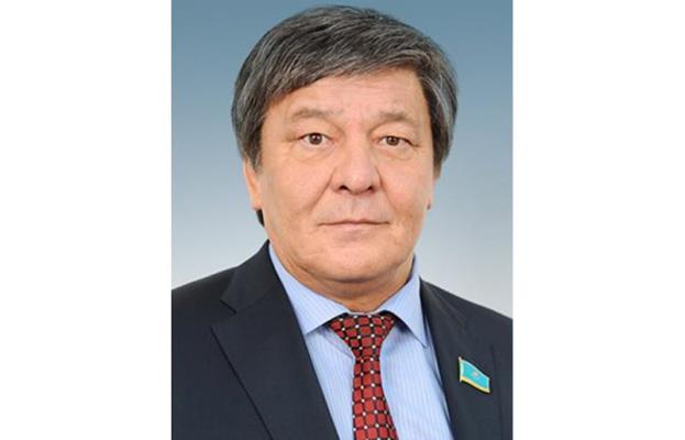 Парламент депутаты Ақтоғай және Ертіс аудандарында болды