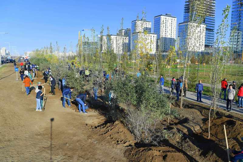 Сенат депутаттары сенбілікке шықты