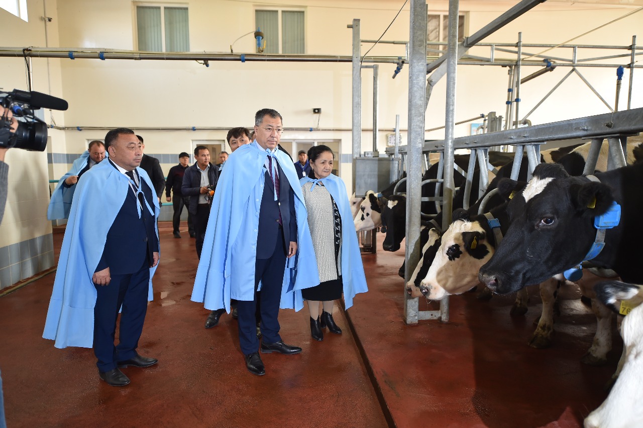 Сарыағаштық шаруалар қайта өңдеу ісін жандандыра бастады