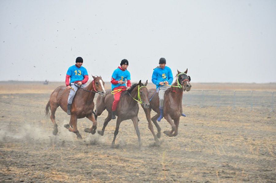 Атырауда өткен жаппай көкпар турниріне 200-ден астам жүйрік ат қатысты