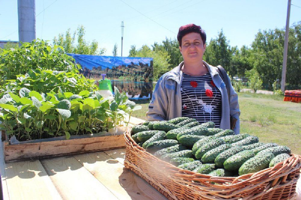 Қиярды брендке айналдырған ауыл