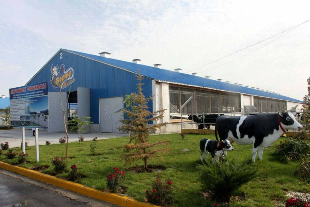 «Бөрте-Милкада» сиырды роботтар сауады