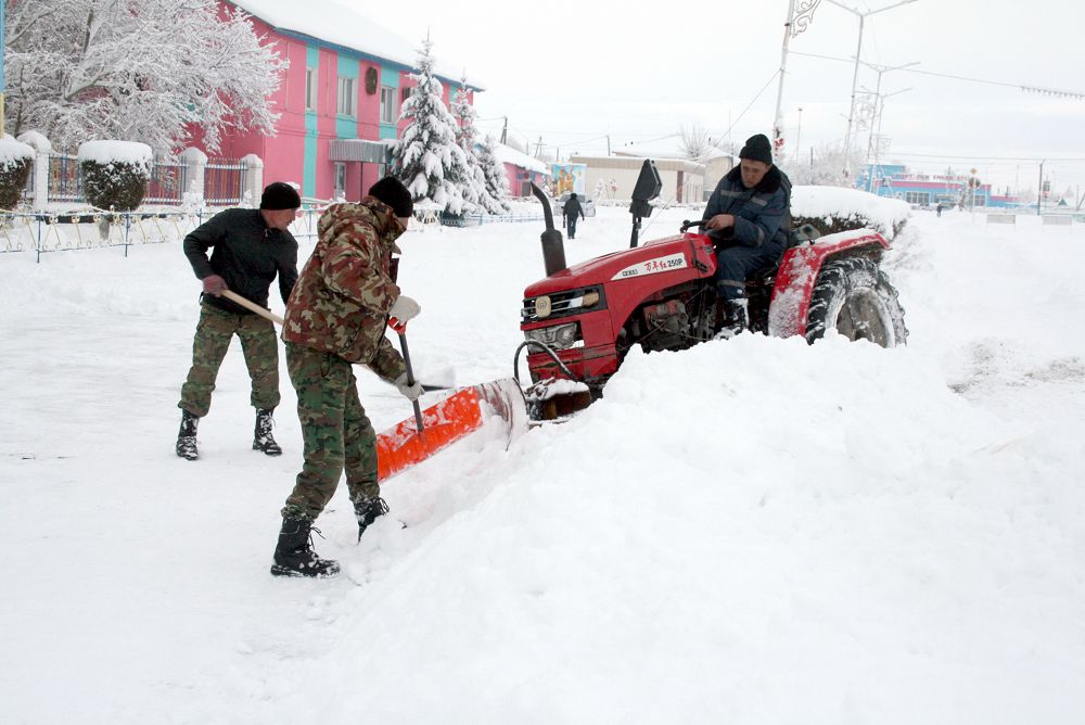 Қарсыз қаңтар