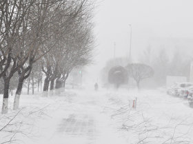 Салғырттықтың салдарынан жыл басы солтүстікқазақ­стандықтар үшін қайғылы оқиғалармен басталды