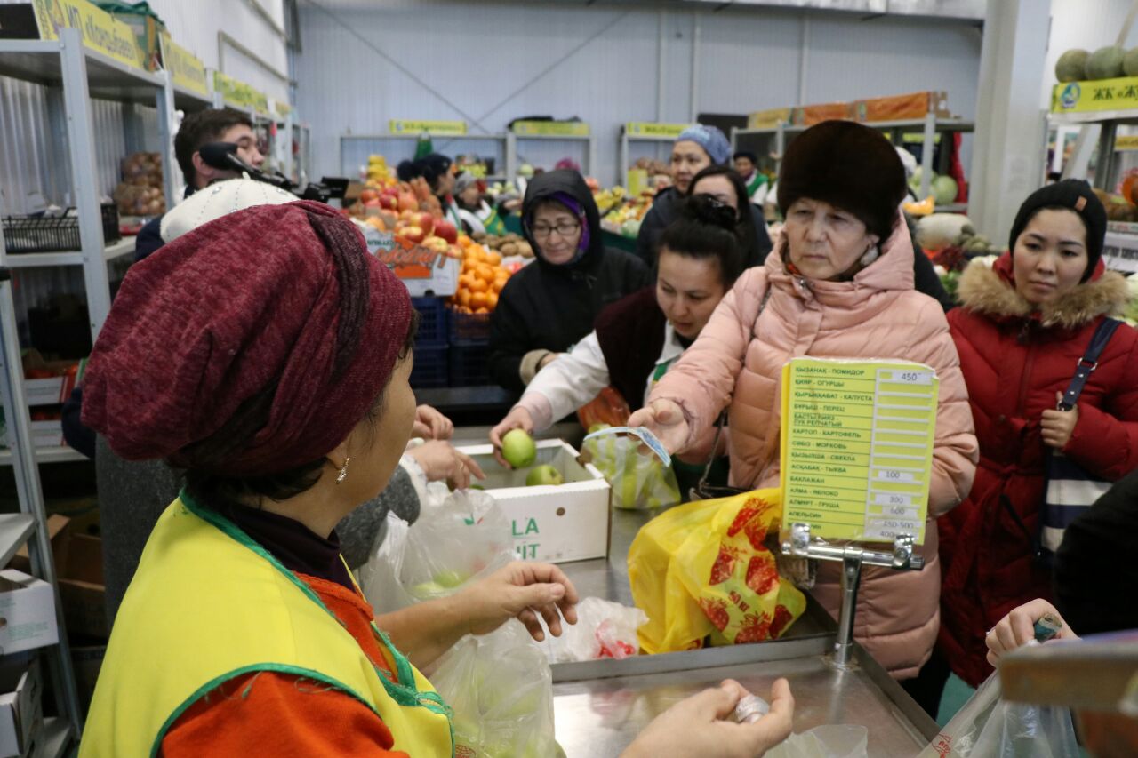 Оңтүстік Қазақстан облысының кәсіпкерлері Атырауда алма өсіреді