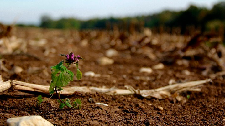 Нұрғали Ораз. Қасиетті қара жер