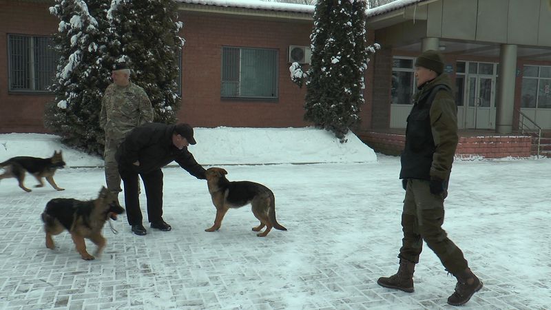 ІІМ кинологтарды оқыту курсын бастады
