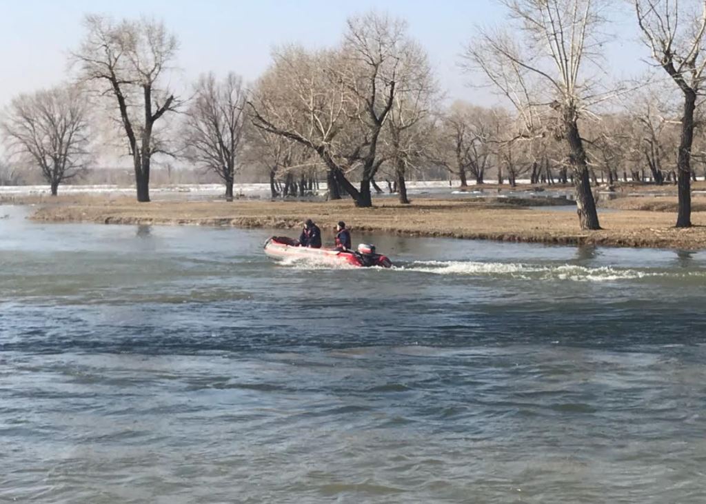 Семейде Ертістің ағысын ертерек жүргізу жұмыстары жалғасуда