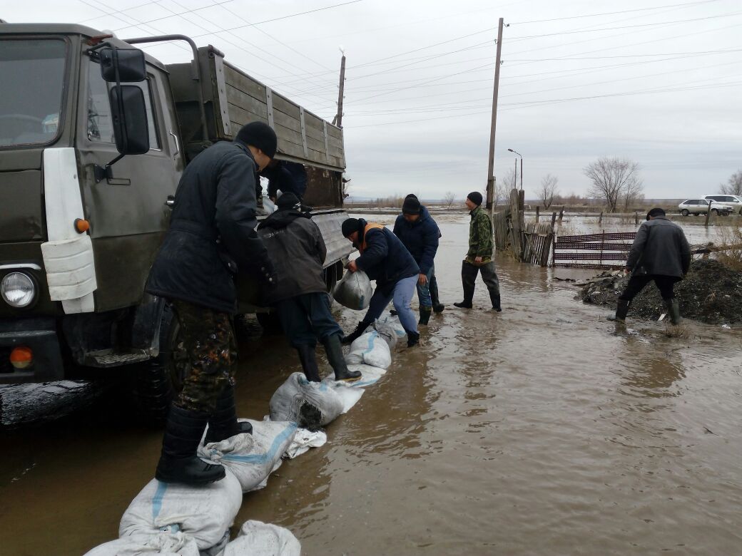 Катонқарағайда 10 үйді су басты