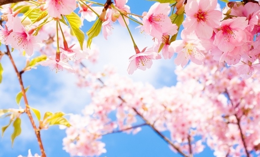 Астана әкімі елорда тұрғындары мен қонақтарын мерекемен құттықтады