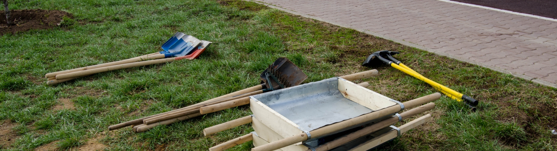 Астанадағы сенбілік. Кең ауқымды шараның қорытындысы қандай?