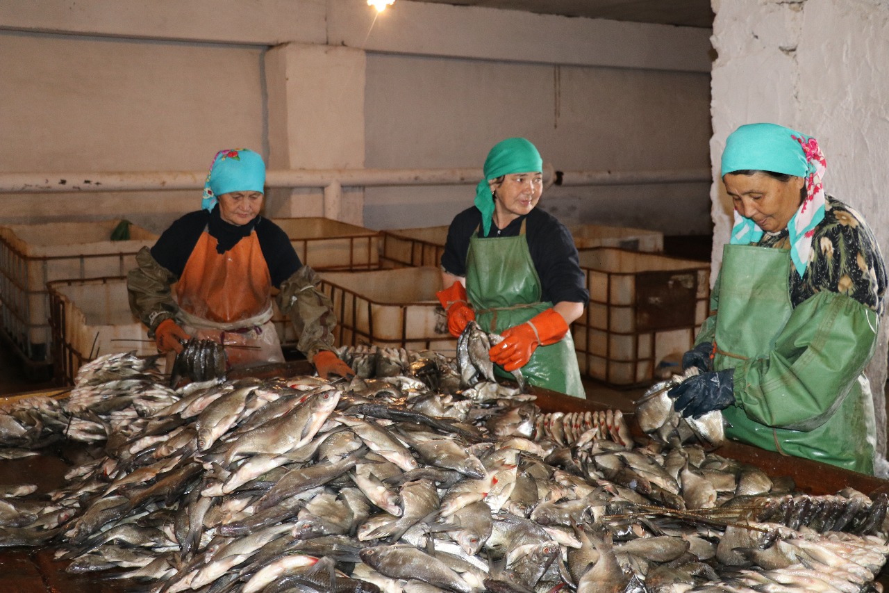 Нұрлан Ноғаев: Бизнес субъектілеріне мемлекеттің қолдауы аймақтың экспорттық әлеуетін арттыруға септігін тигізеді