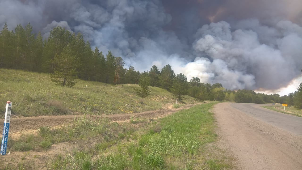 Семейдегі орманның өртенуі адам қолымен жасалған іс болуы мүмкін