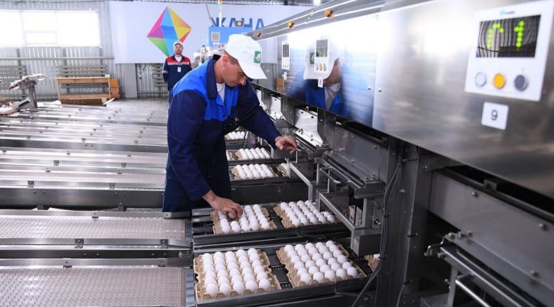 Рудныйда Бақытжан Сағынтаевқа «Ақылды құс фабрикасы» жобасы таныстырылды