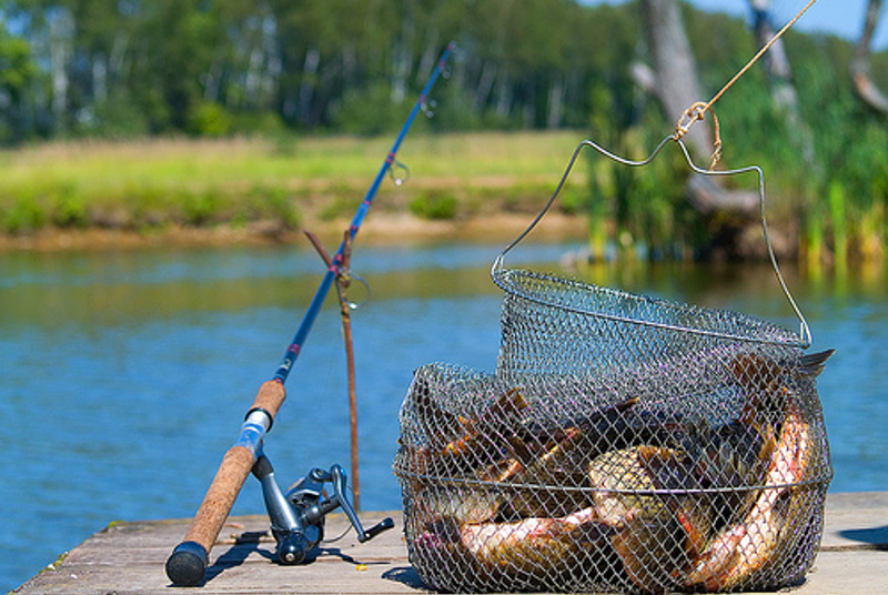 Ер­тіс өзенінің су қоймаларында ба­лық аулауға тыйым салынды
