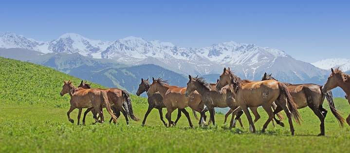 Қы­зыл­үй ауылының алғашқы кірпіші қалан­ғанына 105 жыл толды
