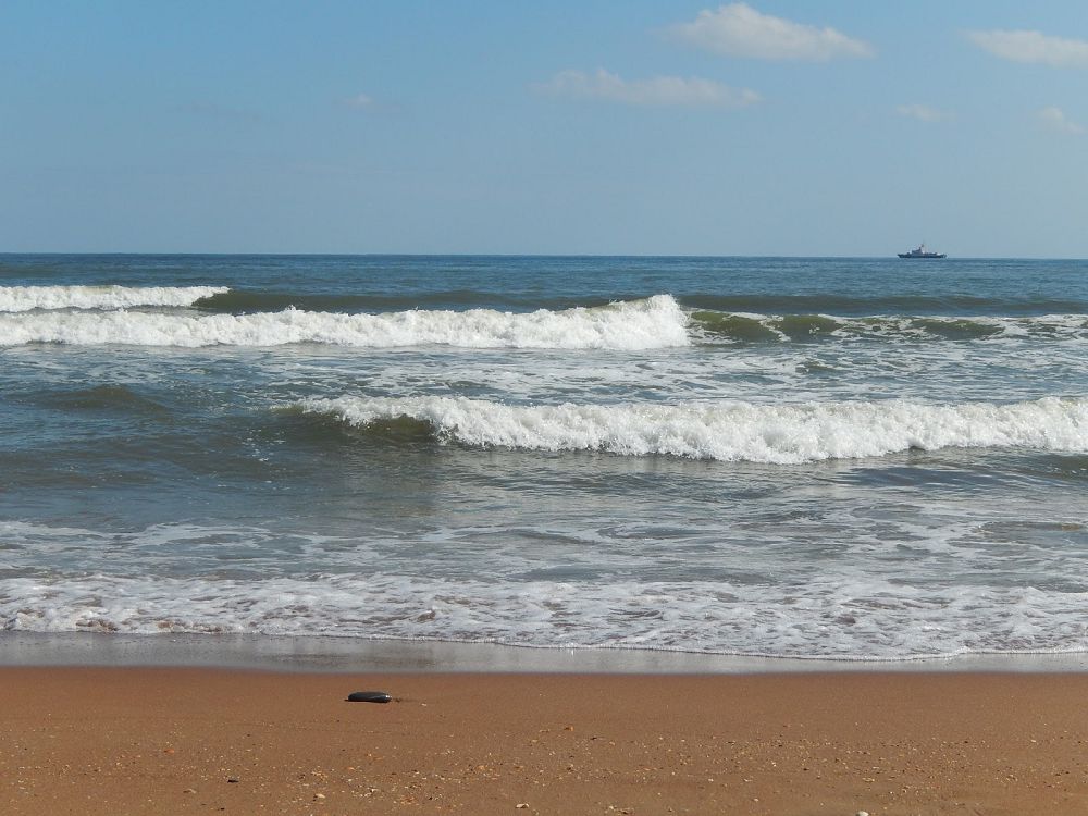 Каспий өзара достық,тату көршілік теңізі болуы тиіс