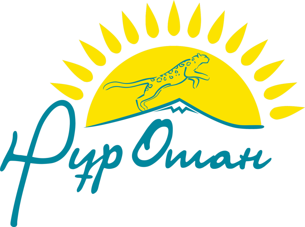 Кітапханалар жаңа форматқа көшірілуде