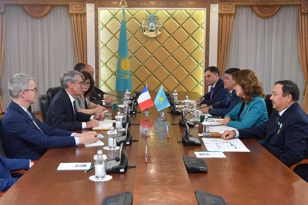 Сенатор Д.Назарбаева француз әріптестерін қабылдады