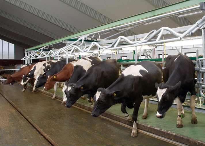 Ауыл шаруашылығының ауқымды мәселелері талқыланды