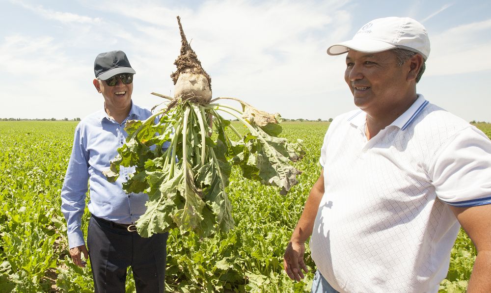 Көксу өзенін жағалаған елдің еңбегі жемісті