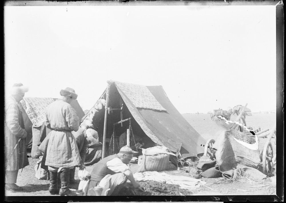 Адам Пжегодскийдің Жетісудағы көпқырлы қызметі