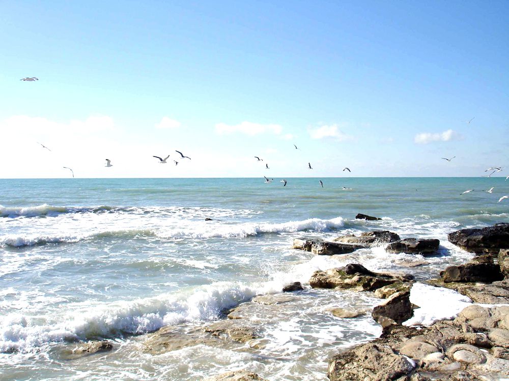 Зүлфия АМАНЖОЛОВА: Каспий конвенциясы – тұрақтылық пен орнықты даму кепілі