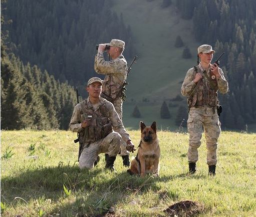 Шекарадағы құқық бұзушылық азайып келеді