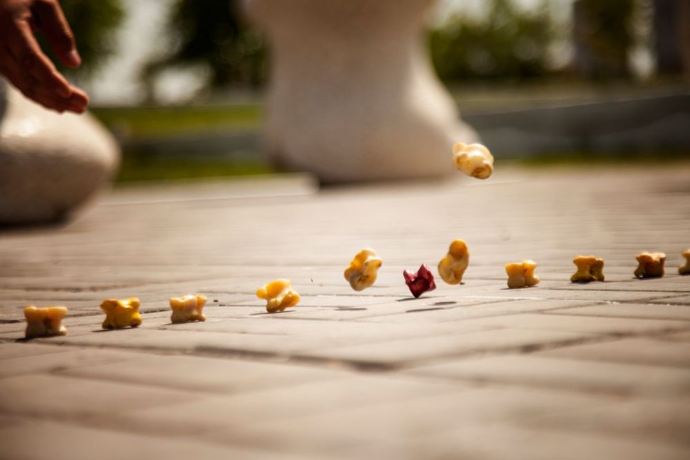 Елордада «Ұлы дала рухы» республикалық фестивалінің солтүстік аймақтық іріктеу жарыстары өтіп жатыр