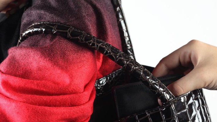 «Интеллигент» ұрылар
