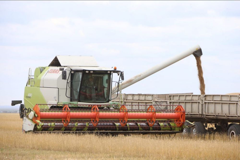 Диқандар дамыл таппайтын маусым