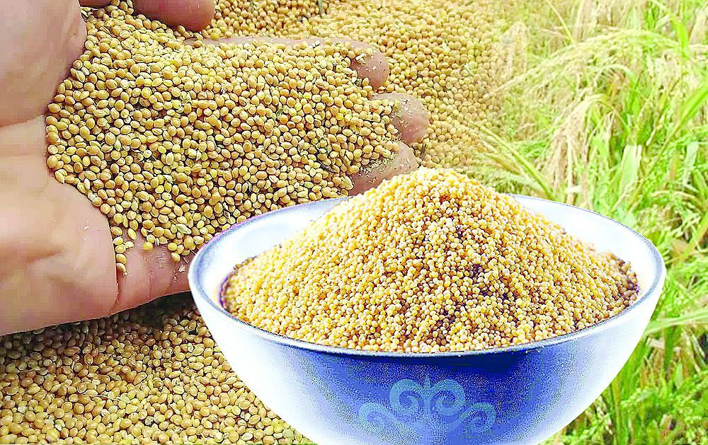 Ойыл қайда бұрынғы?!